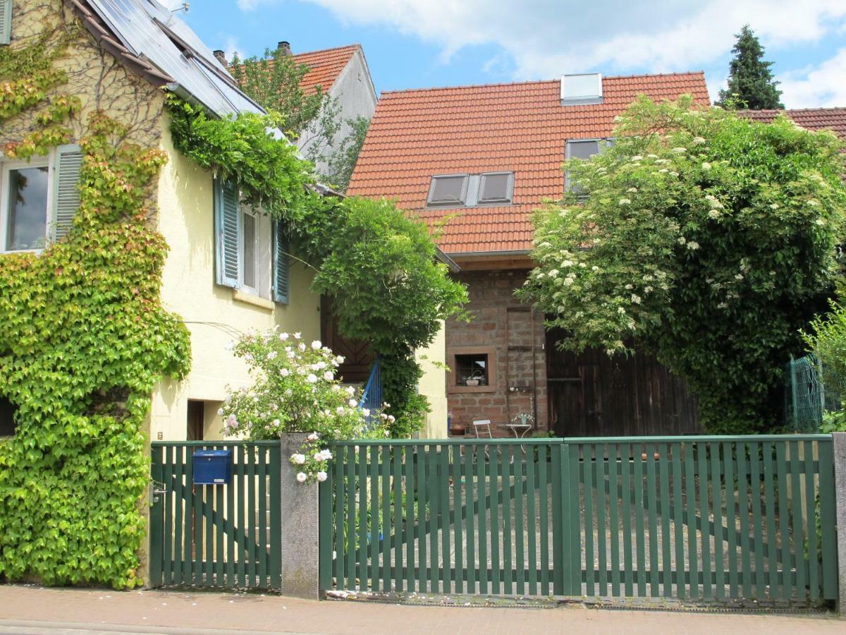 Ferienwohnung Spessart Strassbessenbach Exterior foto